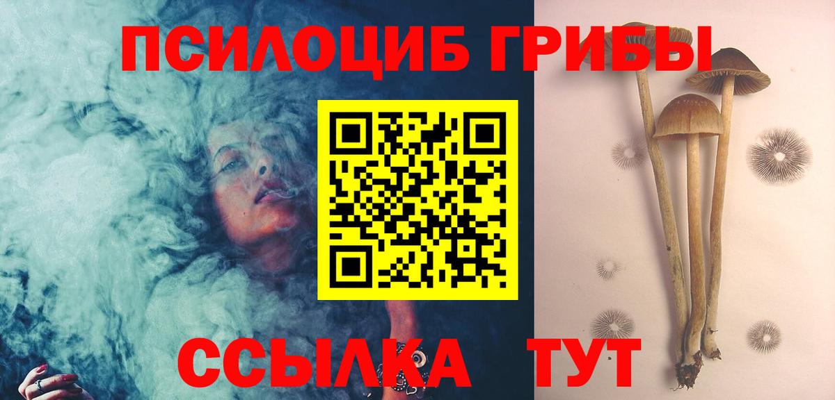 Галлюциногенные грибы мухоморы  Вход с VPN  как найти закладки  Гурьевск  Псилоцибиновые грибы MAGIC MUSHROOMS 